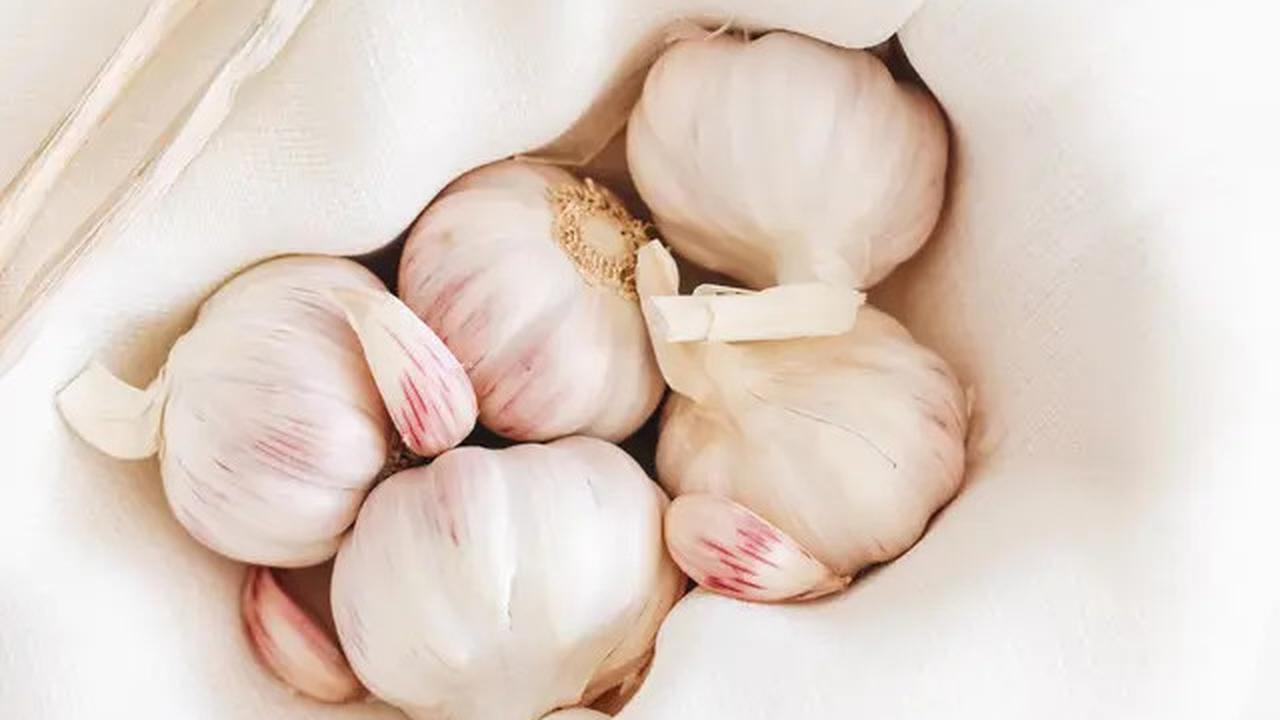 Manfaat Air Rebusan Bawang Putih dan Jahe, Dahsyat untuk Kesehatan Tubuh