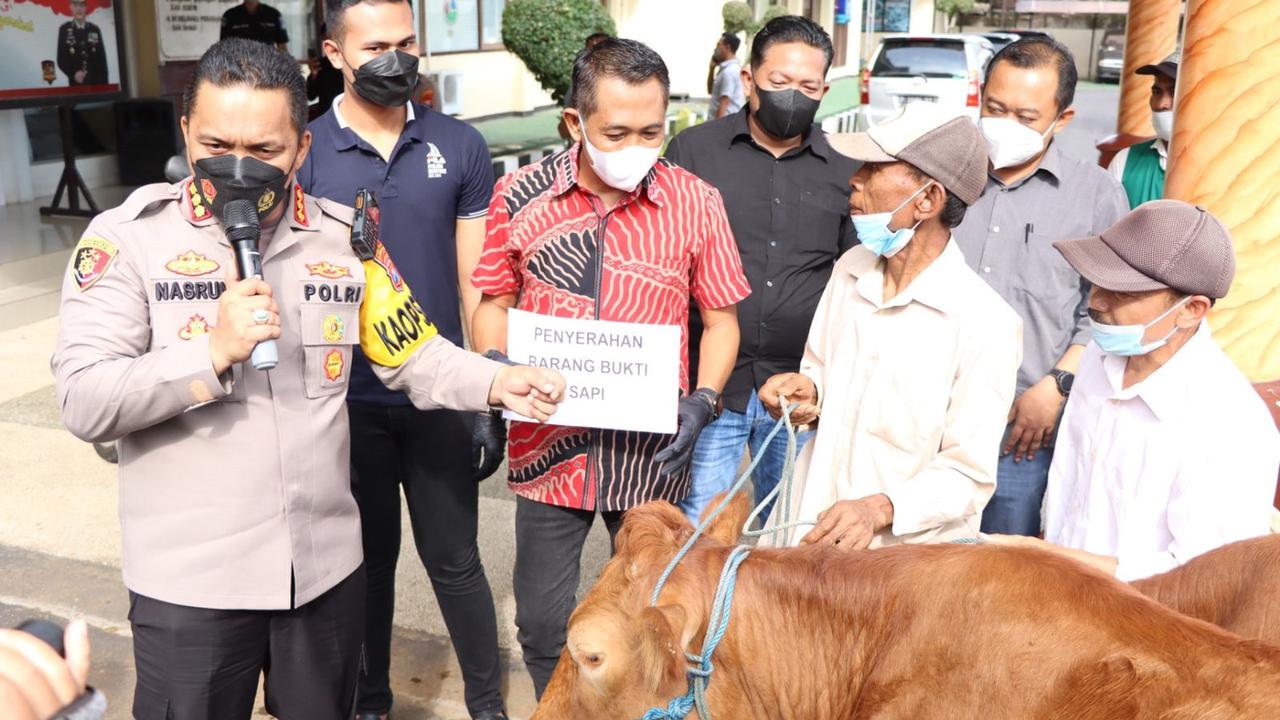 Kapolresta Banyuwangi Kombes Pol Nasrun Pasaribu (Kanan)  serahkan kembali sapi hasil curian kepada pemiliknya. (Istimewa)
