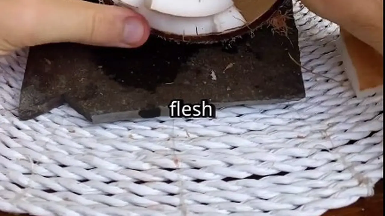Modal 1 Bahan Dapur, Ini Cara Pisahkan Daging Kelapa dengan Mudah