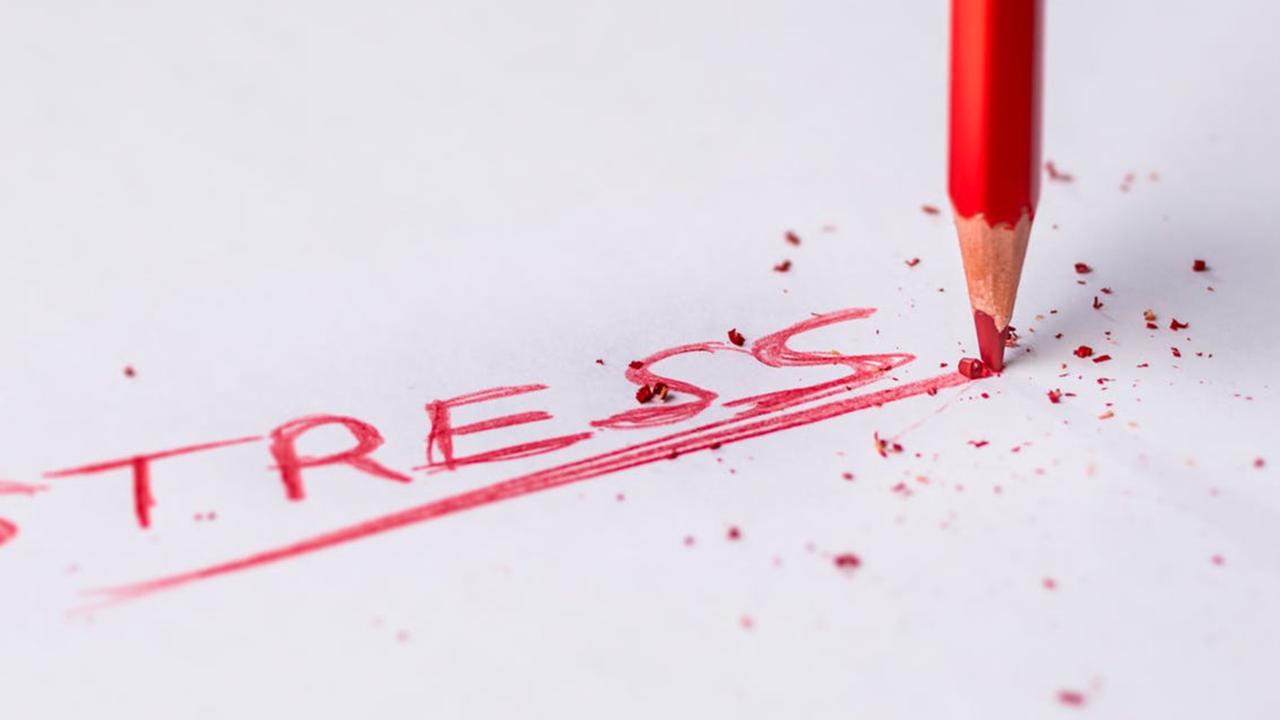 Tidak Perlu Terapi! Coba 10 Langkah Ini untuk Meningkatkan Kesehatan Mental