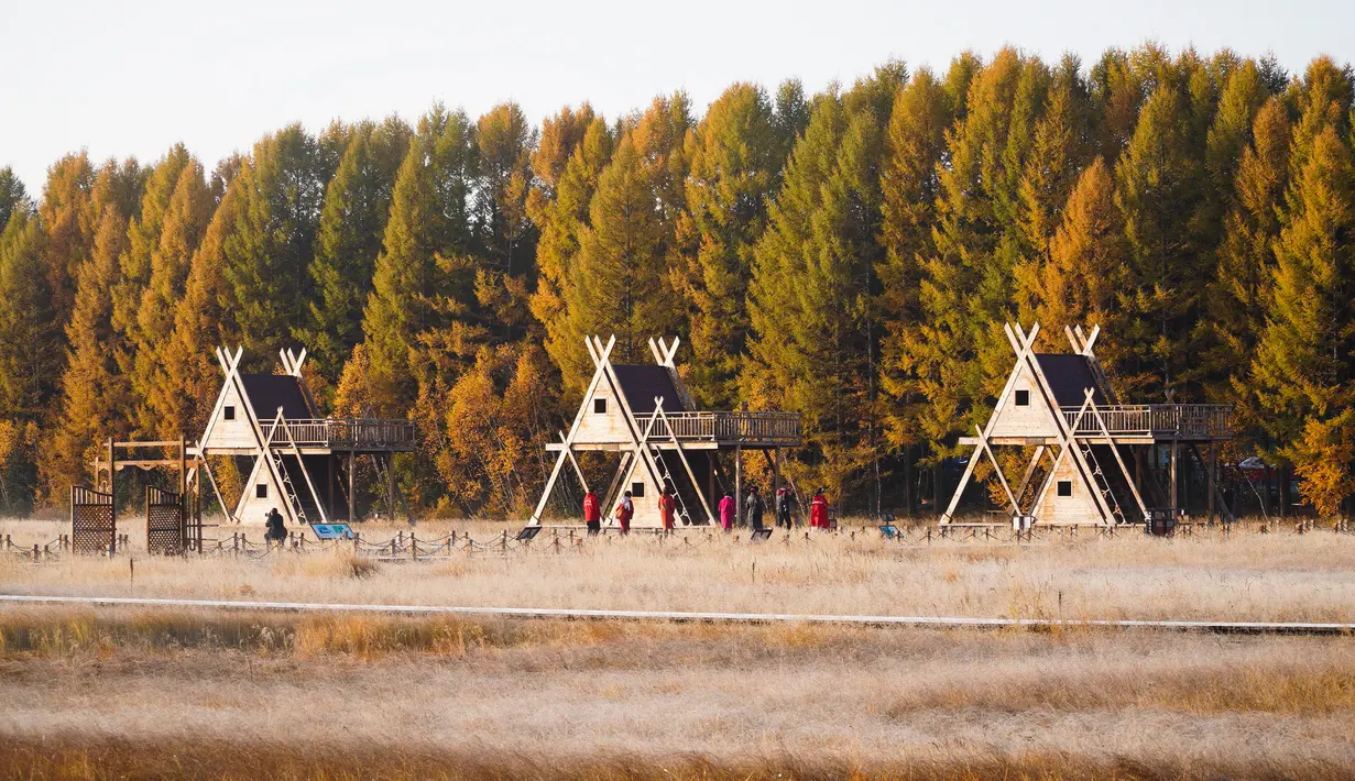 Sejumlah wisatawan mengunjungi Taman Hutan Nasional Saihanba di Chengde, Provinsi Hebei, China utara, pada 27 September 2020. (Xinhua/Liu Mancang)