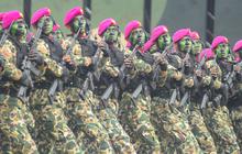 Kabar Gembira! HUT ke-79 TNI Besok, Masyarakat Bisa Masuk dari Semua Pintu di Monas