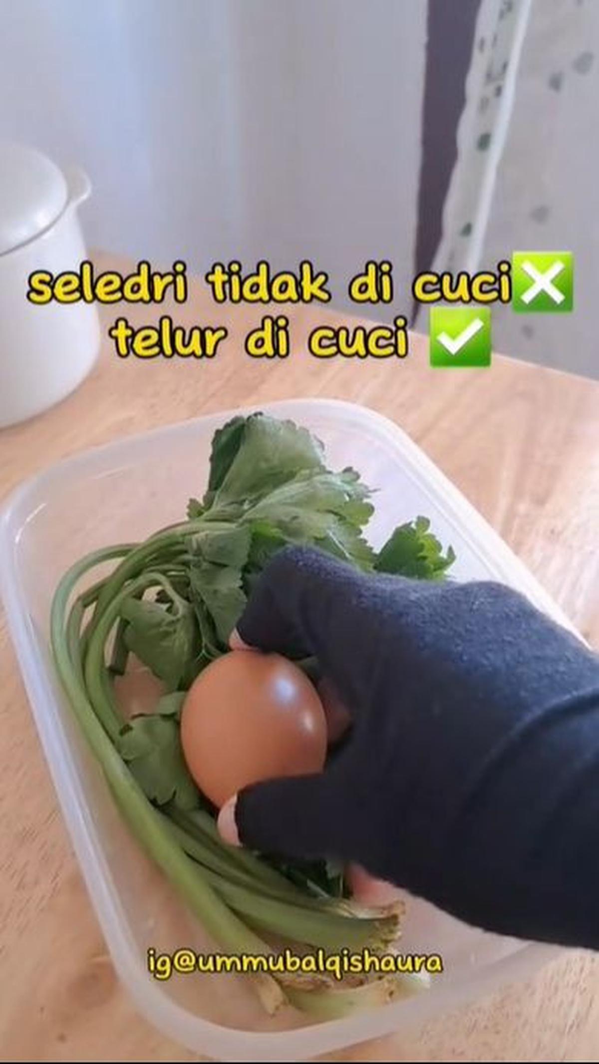 Gunakan Telur Basah