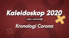 THUMBNAIL CORONA