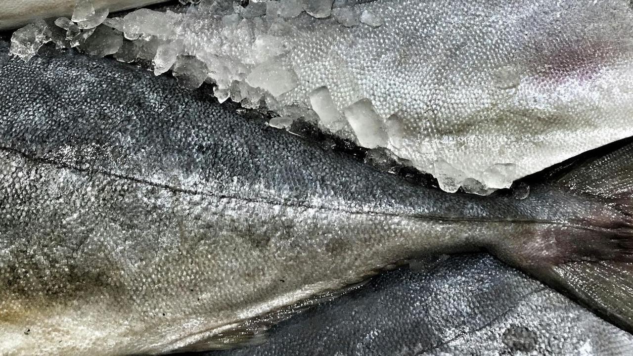 <b>1. Ikan Bandeng</b><br>