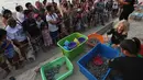 Sejumlah orang melihat kumpulan anak penyu sisik yang akan dilepaskan di pantai Sayulita, Meksiko (2/12). Anak penyu ini adalah hasil konservasi yang dilakukan oleh organisasi "Red Tortuguera". (AP Photo/Marco Ugarte)
