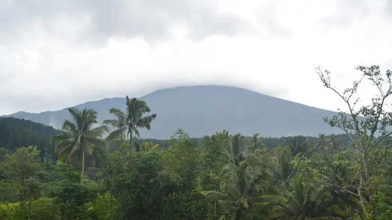 Kini lereng Gunung Slamet tak lepas dari ancaman krisis air bersih akibat beralihnya tanaman keras. (Foto: Liputan6.com/Muhamad Ridlo)