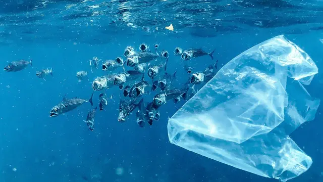 Dorongan Baru untuk Menyepakati Aturan Bersama Soal Polusi Plastik
