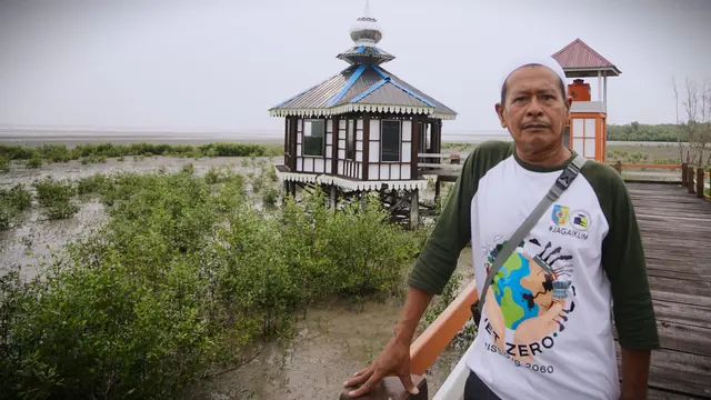 Mangrove