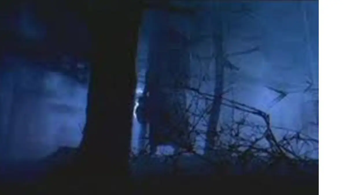 Penampakan Nyata Hantu Jeruk Purut - Fimela Fimela.com