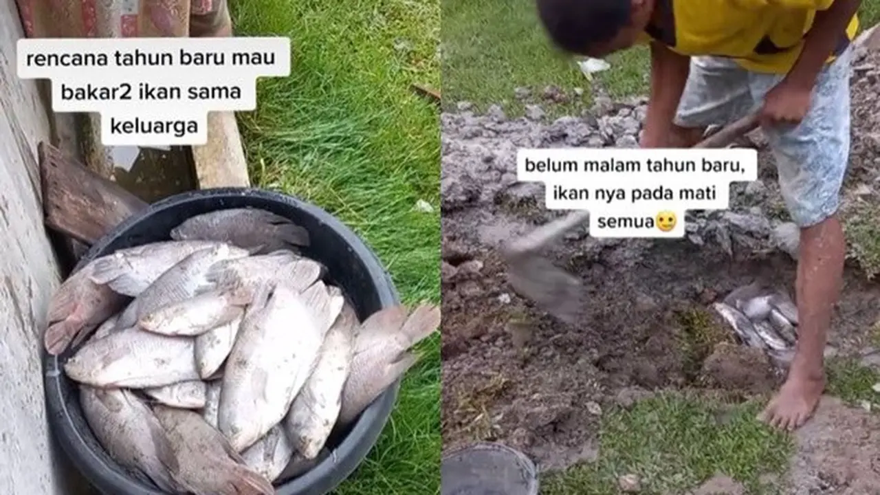 Niatnya Dibakar Pas Malam Tahun Baru, Ikan di Kolam Ini Mendadak Mati Semua