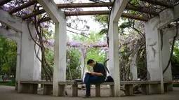 Seorang pria membaca buku di sebuah taman di Beijing (19/4). Beijing terletak di Tiongkok utara diperintah sebagai sebuah munisipalitas dikontrol di bawah pemerintah nasional dengan 16 daerah urban, suburban, dan distrik pedesaan. (AFP Photo/Wang Zhao)
