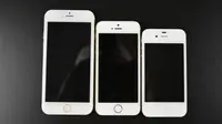 Inikah Bentuk Asli iPhone 6?