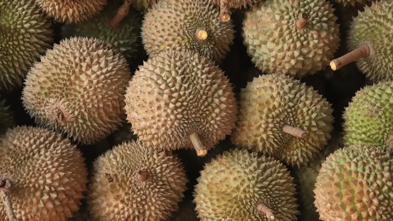 Arti Mimpi Makan Durian Berdasarkan Ukurannya