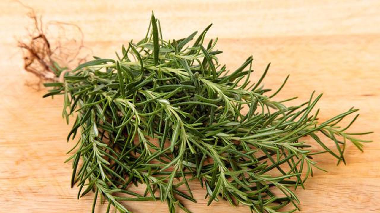 Rosemary.