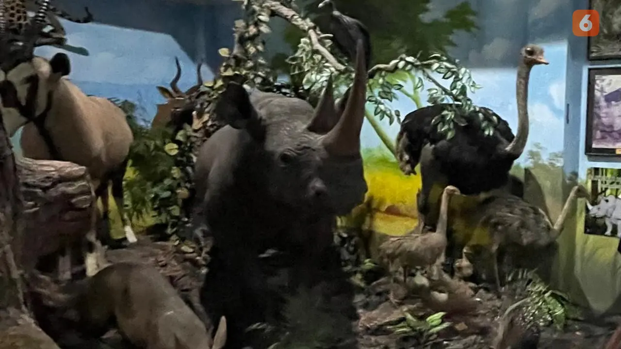 Rahmat International Wildlife Museum & Gallery