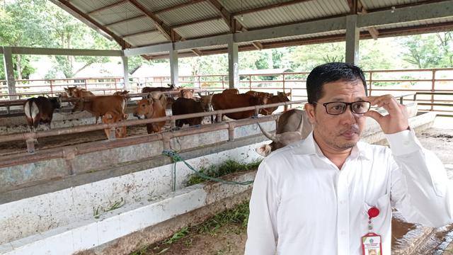 Persiapan RPH Kota Kendari menjelang Idul Adha 1443 Hijriah.(Liputan6.com.Ahmad Akbar Fua)