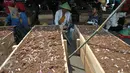 Kayu-kayu berisi tanah dijadikan alat untuk mengubur diri saat aksi di halaman Monas, Jakarta, Senin (1/5). Aksi kubur diri dilakukan untuk mendapat perhatian pemerintah terkait konflik agraria di Telukjambe, Karawang. (Liputan6.com/Yoppy Renato)