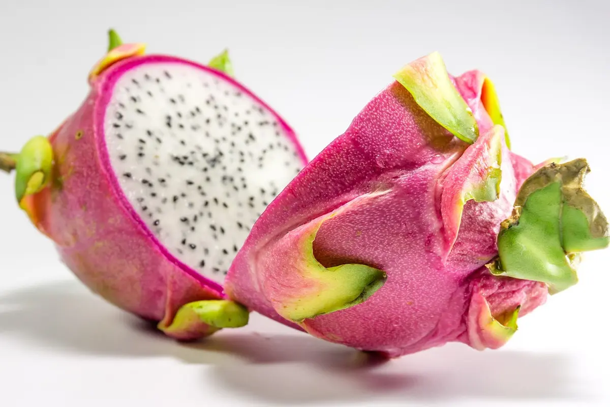 Buah naga