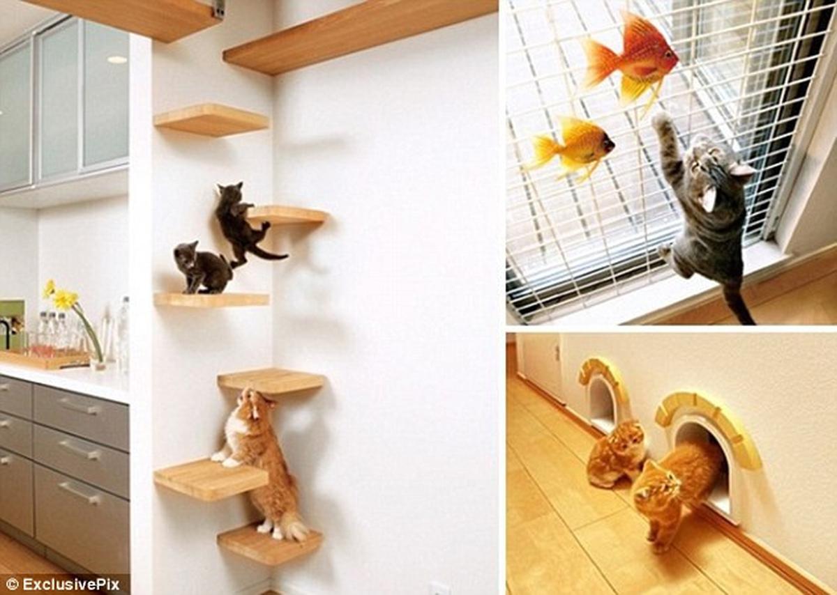 Rumah kucing