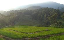 Ada Tempat Bertapa Para Leluhur, Ini Fakta Menarik Gunung Rajabasa di Provinsi Lampung