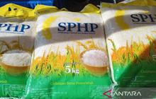 Pengamat: Mekanisme Penyaluran Beras SPHP Bulog Perlu Diubah, Padahal Stok Sudah 4 Bulan!
