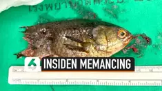 vertical mancing