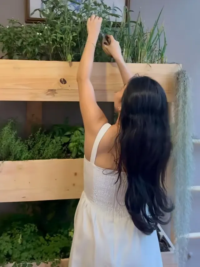 Ariel Tatum punya kebun herbs di rumahnya. [@didietmaulana]