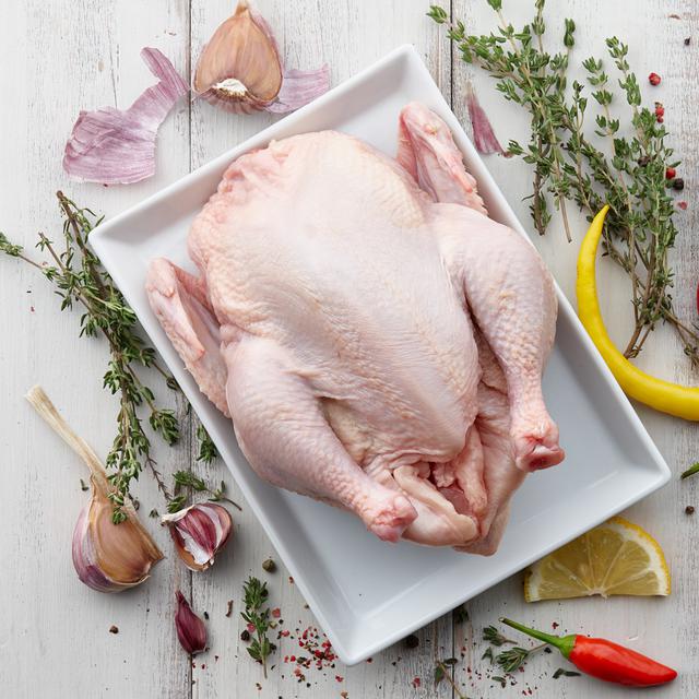Ini Dia Mengenal Ayam Pejantan Super Ayam Jawa Kampung Super Ayam Aksas Dll Puyuh Jaya