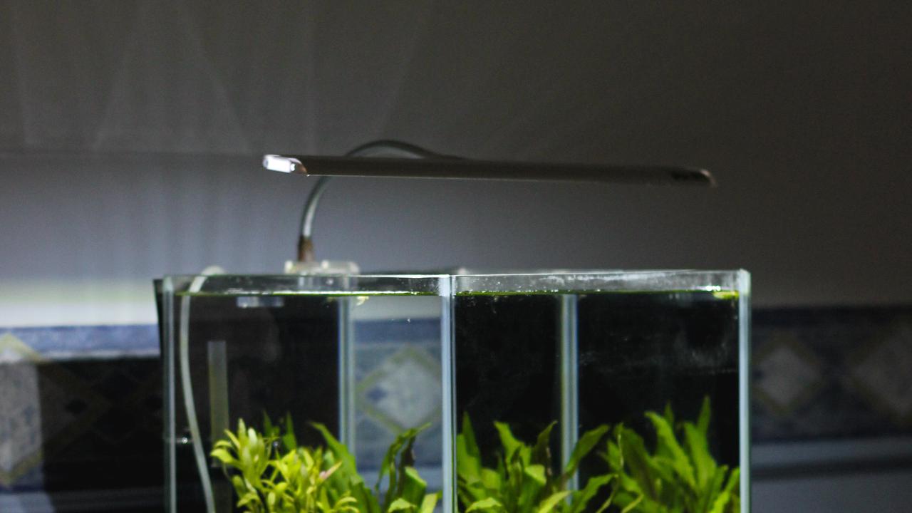Akuarium