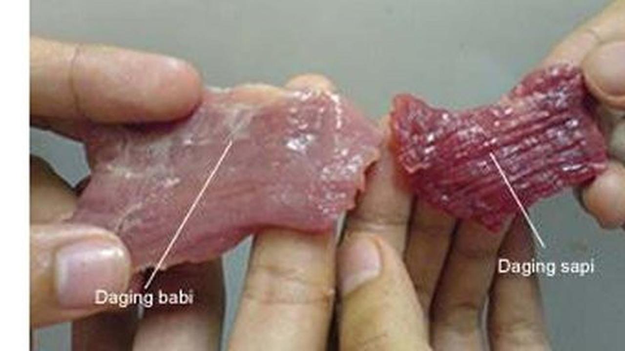 Cara membedakan daging sapi dan babi di pasar