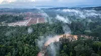 Ekonomi Maluku Utara Tumbuh 34%, Hilirisasi Nikel Jadi Kunci