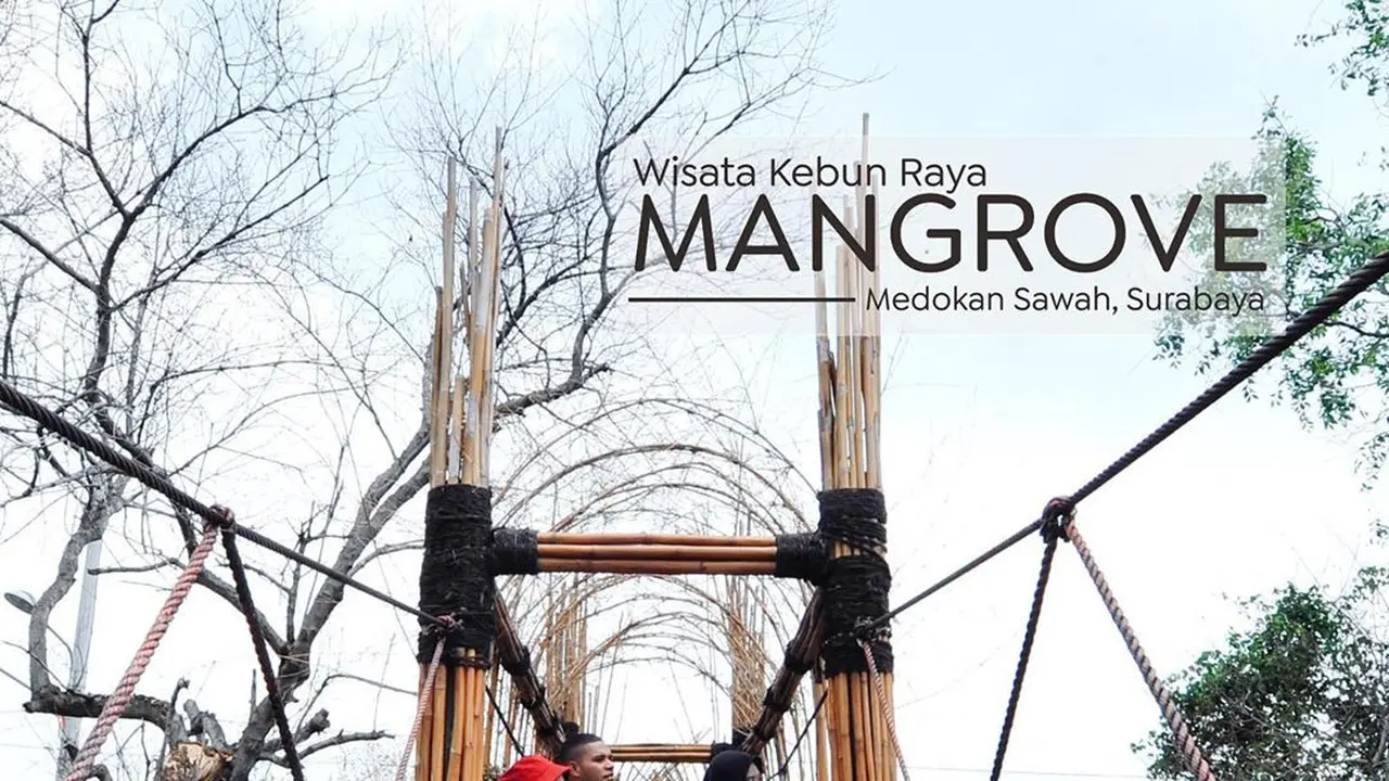 Potret Taman Mangrove Medokan, Spot Wisata Baru di Surabaya