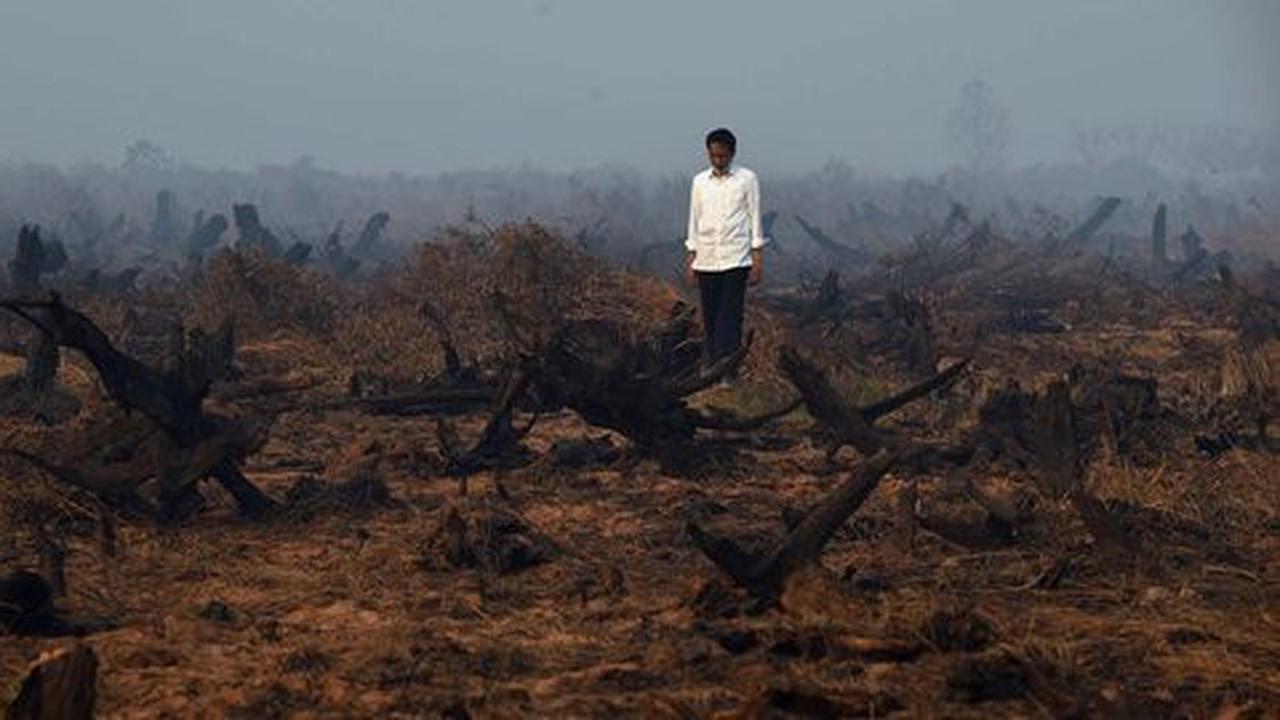 Pemerintah tak bisa tutupi perusahaan pembakar hutan