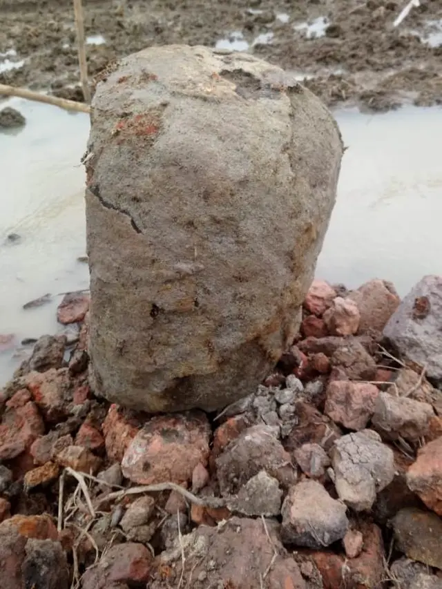 Warga kembali menemukan artefak kuno berupa batu mirip nisan di sekitar situs batu bata kuno Kalikudi, Cilacap. (Foto: Liputan6.com/Nakam S Wibowo/Muhamad Ridlo)