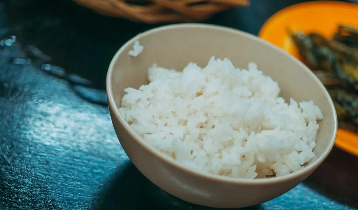 Nasi Putih dan Roti Putih