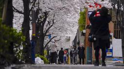 Orang-orang berhenti untuk mengambil gambar saat mereka berjalan di trotoar bawah kanopi bunga sakura di Tokyo, Jepang, Minggu (27/3/2022). (AP Photo/Kiichiro Sato)
