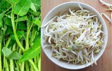 Trik Praktis Merebus Kangkung dan Tauge, Dijamin Anti Pahit