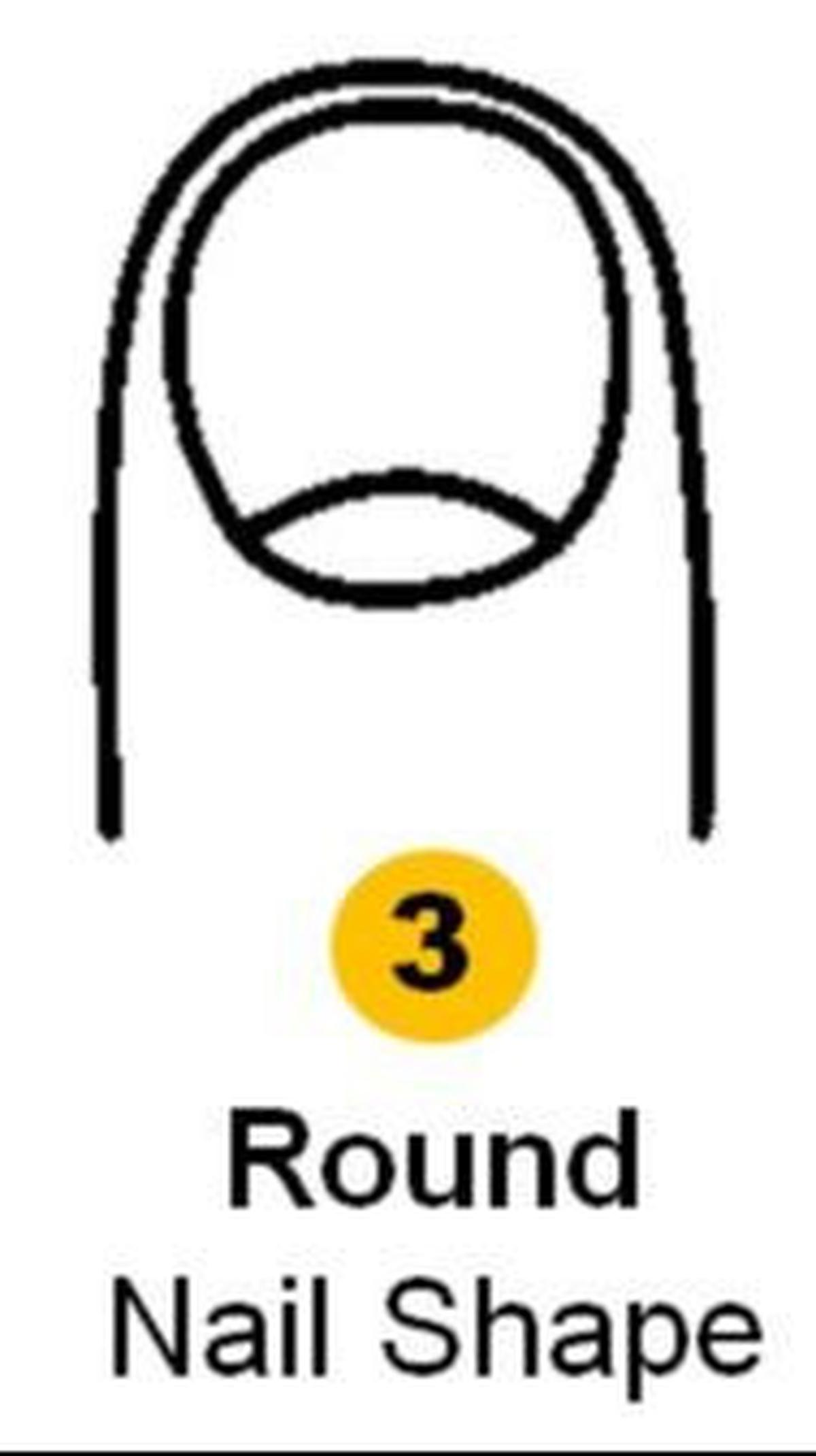 3. Bentuk Kuku Bulat<br>