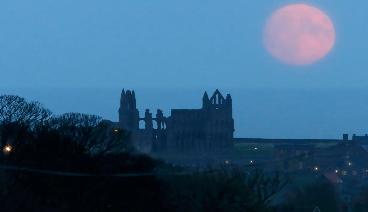 Fenomena supermoon menghiasi Whitby Abbey, di North Yorkshire, Inggris (13/11). Fenomena ini merupakan bulan paling besar dan terang dalam kurun 70 tahun terakhir. (REUTERS/Craig Brough)