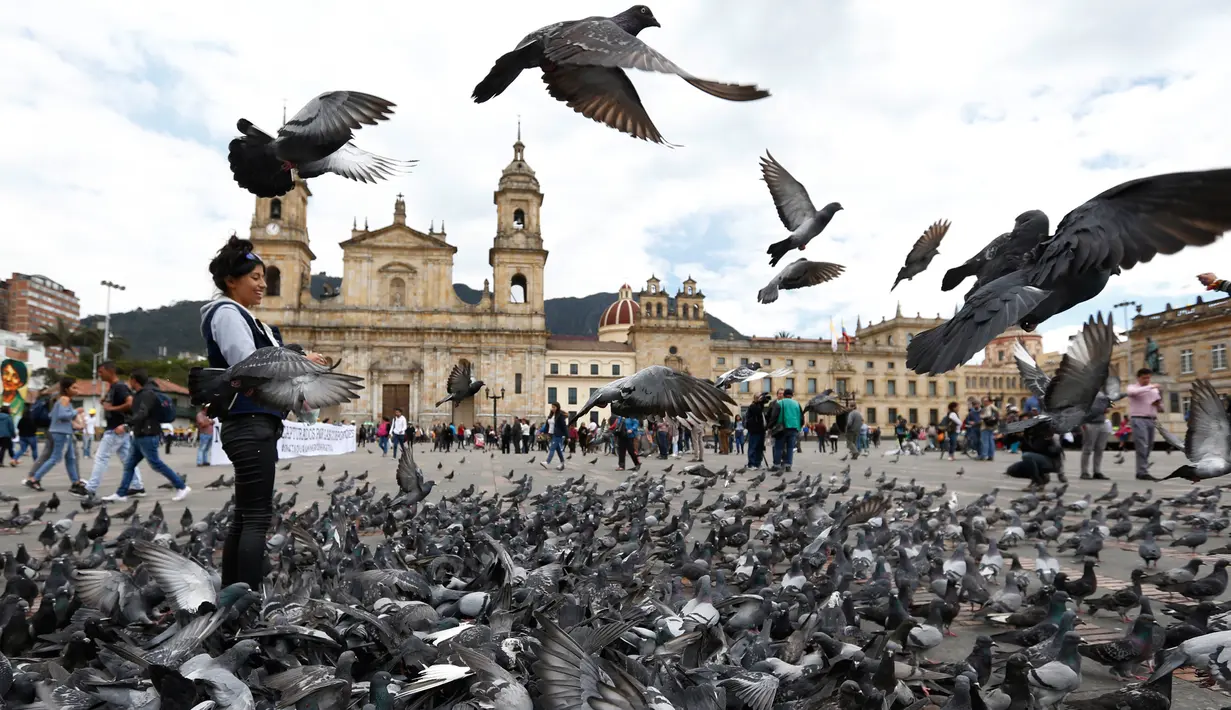 Kawanan burung merpati memenuhi Alun-Alun Bolivar di Bogota, Kolombia, 2 Oktober 2018. Pemerintah Bogota berusaha mengurangi jumlah populasi merpati melalui larangan bagi pengunjung untuk tidak memberi makan lagi burung-burung itu. (AP/Fernando Vergara)