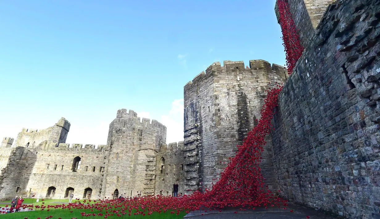 Karya seni bertajuk 'Jendela Menangis' ini dibuat untuk menghormati tentara Welsh yang meninggal selama Perang Dunia Pertama, Caernarfon Castle, Wales, Senin (17/10). (REUTERS / Rebecca Naden)