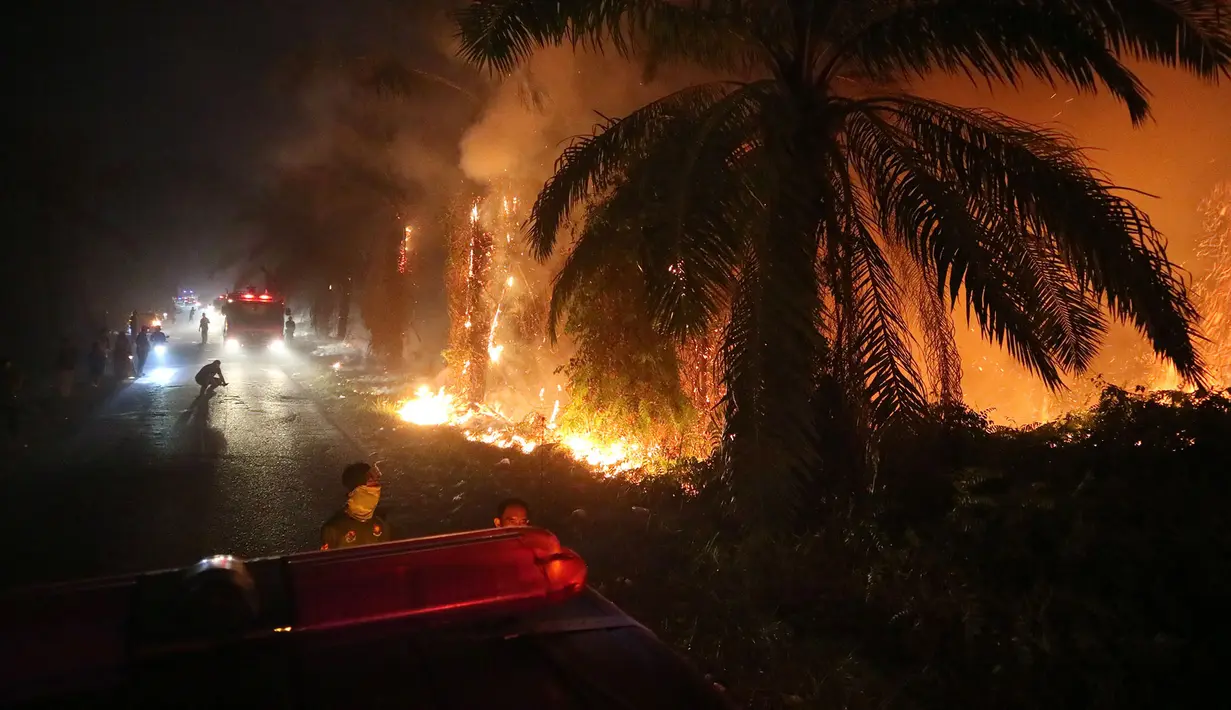 Truk pemadam kebakaran diparkir di dekat api yang membakar lahan gambut di Sampit, Kalimantan Tengah, Indonesia, Senin, 24 Agustus 2026. (AP Photo/Andri Rizky Agustian)