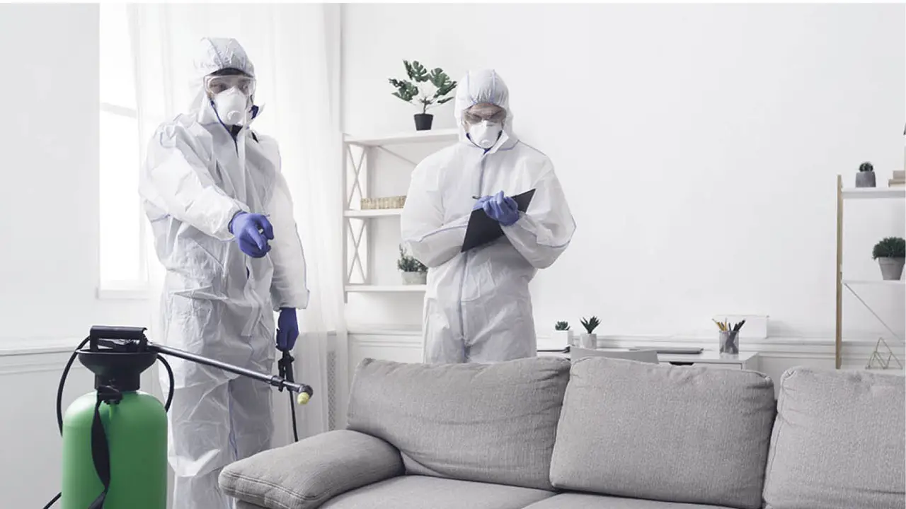 Artotel Clean