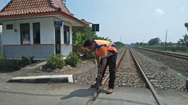 Penghargaan Hanya Piagam