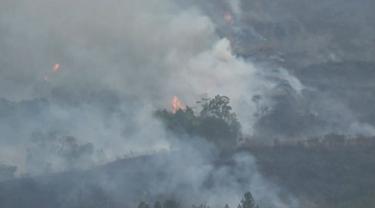 50 Hektar Hutan di Gunung Ciremai Terbakar