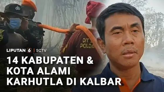 14 Kabupaten dan Kota Alami Karhutla di Kalbar
