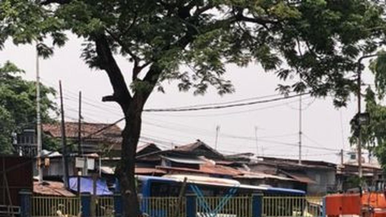 “Dari sini, nanti dibawa ke TPS Kelapa Gading dulu, Perintis. Baru nantinya ke Bantar Gebang,” ujar dia.<br>