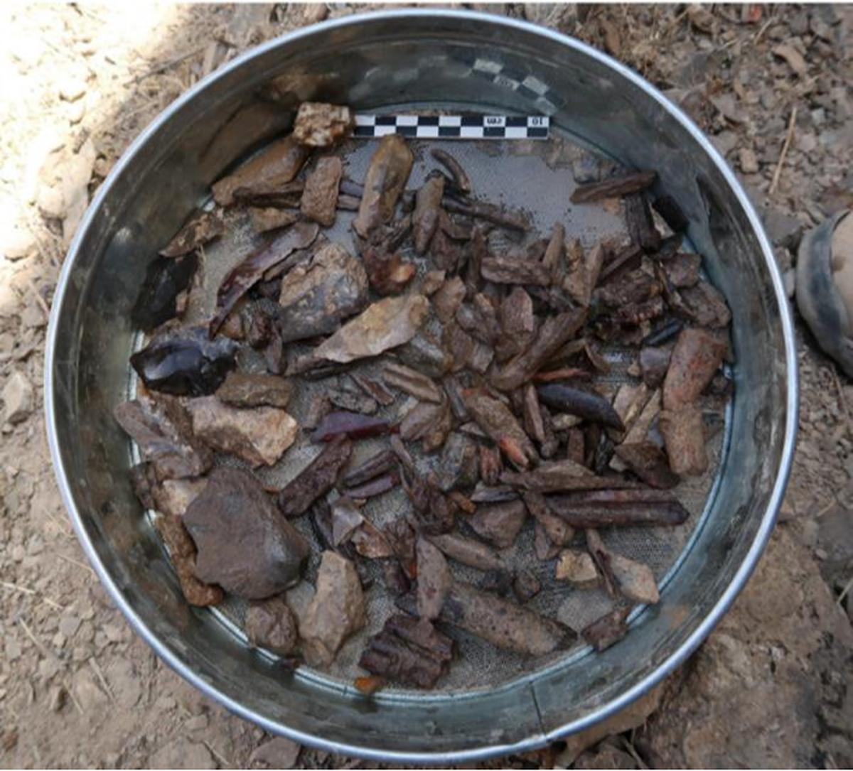Tumpukan perkakas batu dan tulang yang ditemukan di permukiman manusia purba berusia 150.000 tahun di Tajikistan.