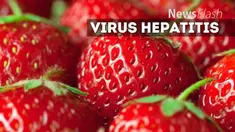 Merebaknya wabah hepatitis A di Eropa terkait dengan stroberi beku yang diimpor dari Mesir, perlu mendapat perhatian